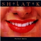 Shakatak - Perfect Smile