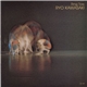 Ryo Kawasaki - Ring Toss