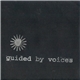 Guided By Voices - Wish In One Hand