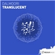 Dalmoori - Translucent